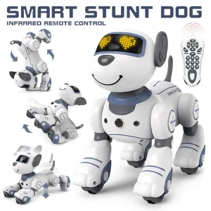 Educational robot toy