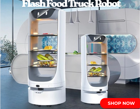 Flash Food Truck Robot (2)